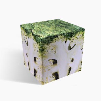 Broccoli cube seat