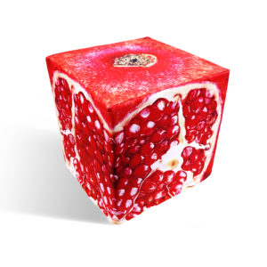 Pomegranate cube seat
