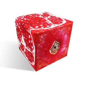 Pomegranate cube seat